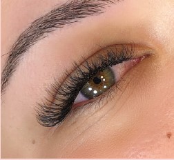 Detalhe Volume Brasileiro 2