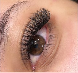 Detalhe Volume Brasileiro 3